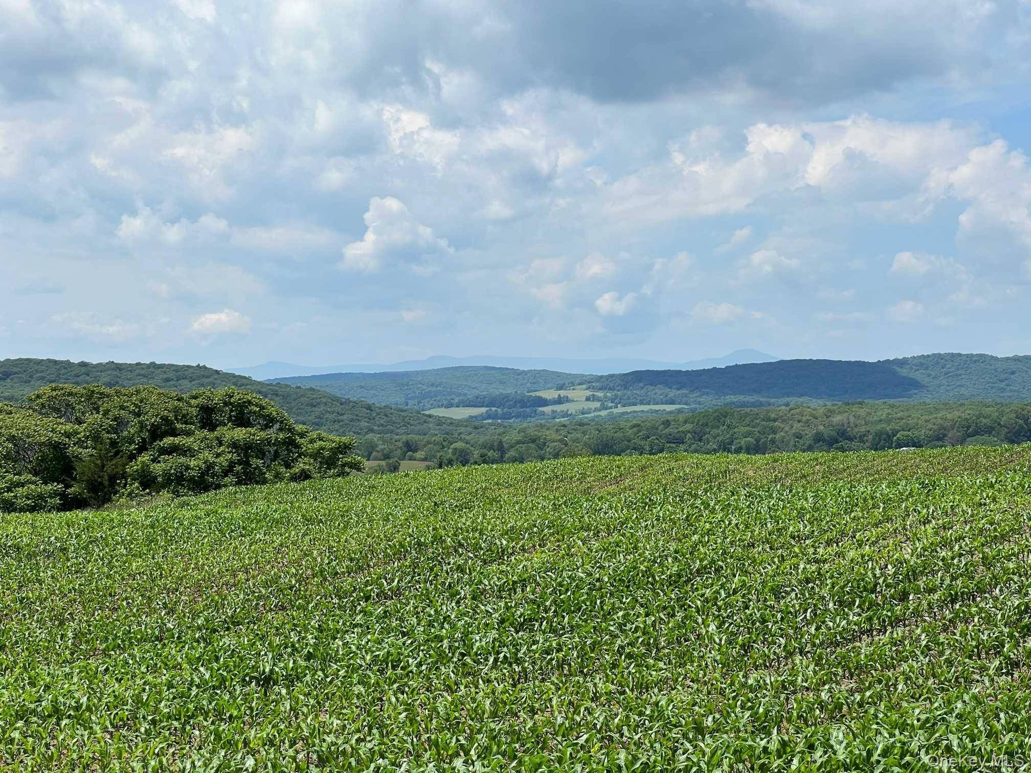 ROUTE 82, Ancramdale, NY 12503