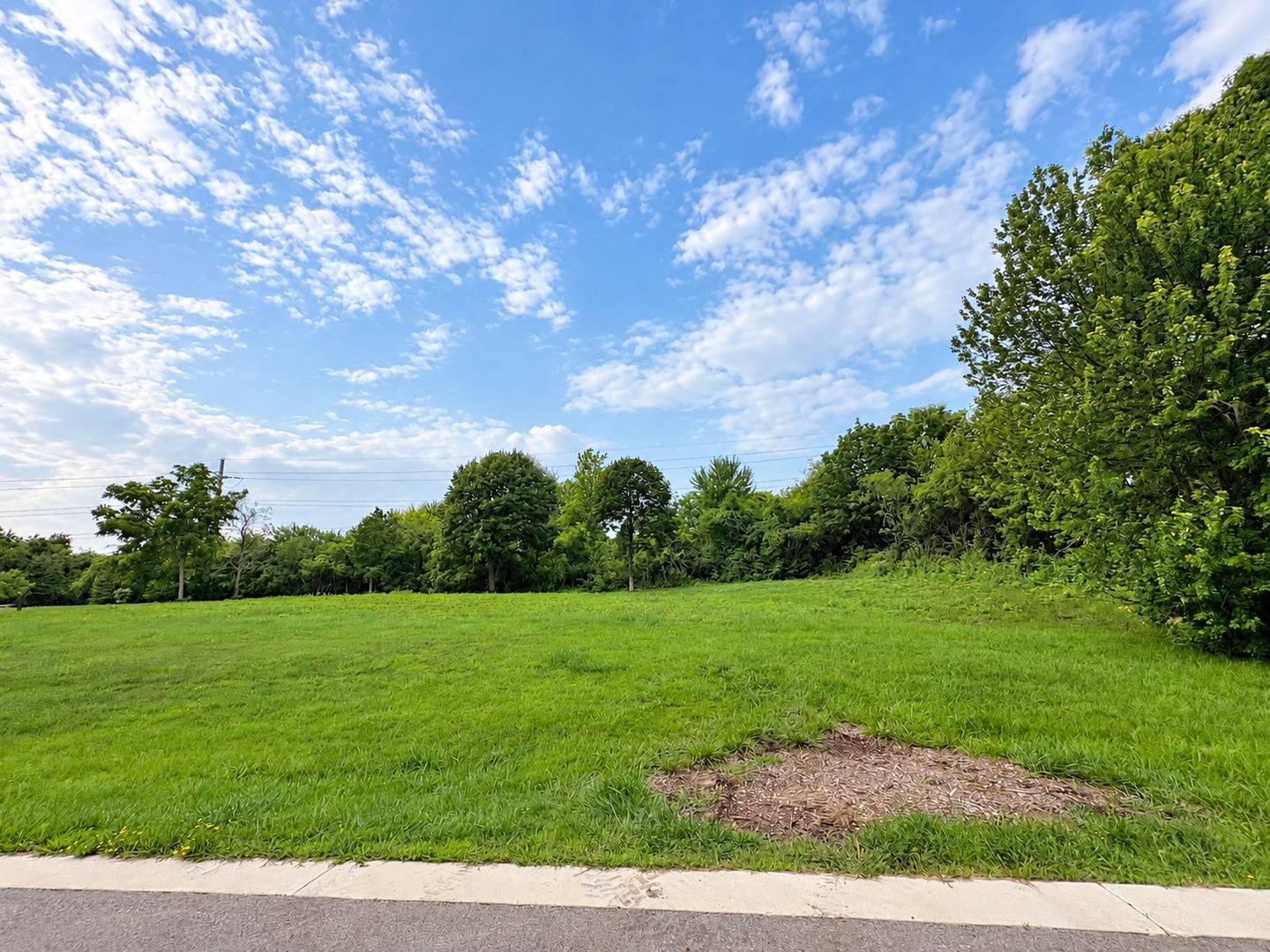 45 Squire RD, Hawthorn Woods, IL 60047