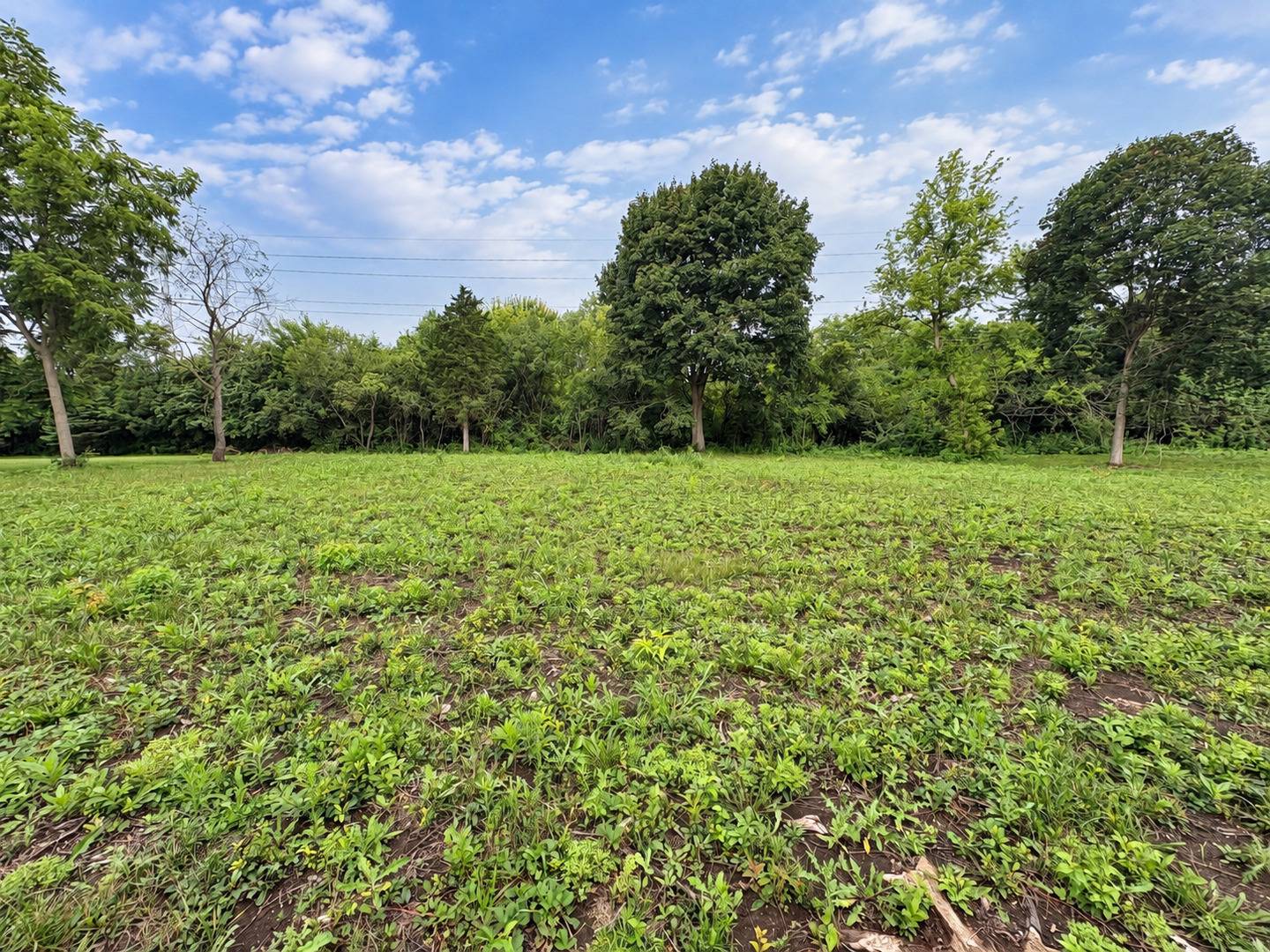 45 Squire RD, Hawthorn Woods, IL 60047