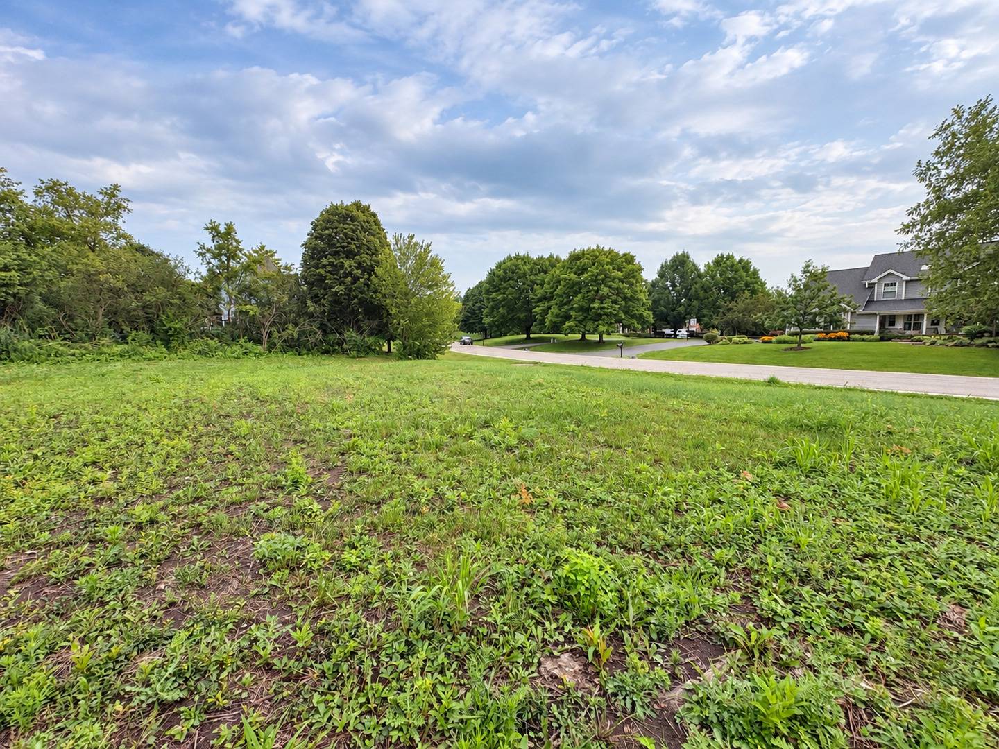 45 Squire RD, Hawthorn Woods, IL 60047