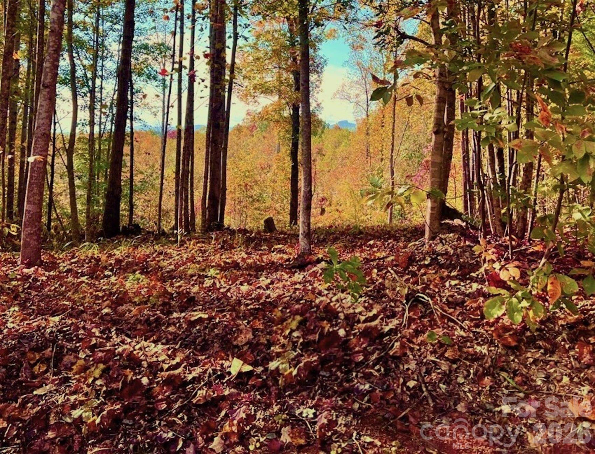 1.85 acres, Lot 925 High Valley WAY #925, Lenoir, NC 28645