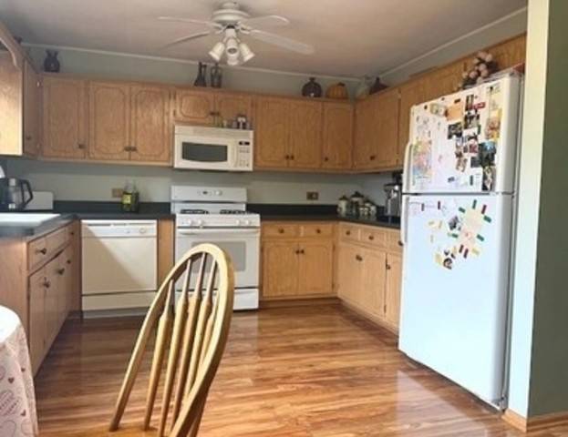 1005 Singer AVE, Lemont, IL 60439