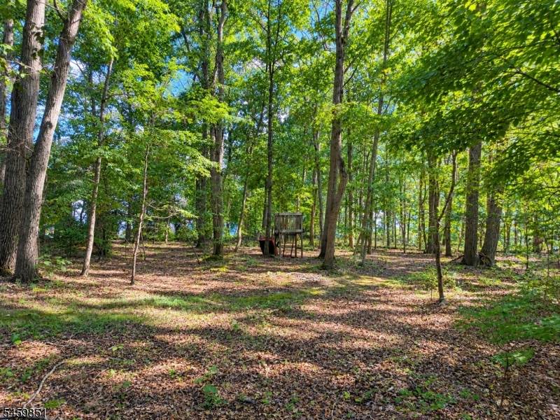 3138 Hwy 547, Manchester Twp., NJ 08759