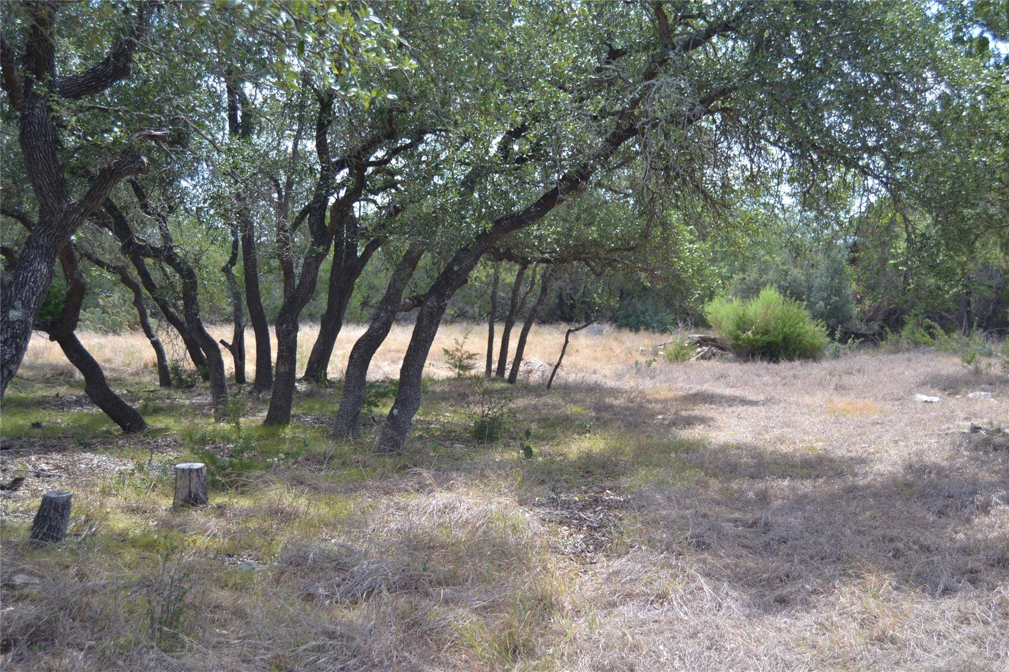 270 Gant RD, Dripping Springs, TX 78620