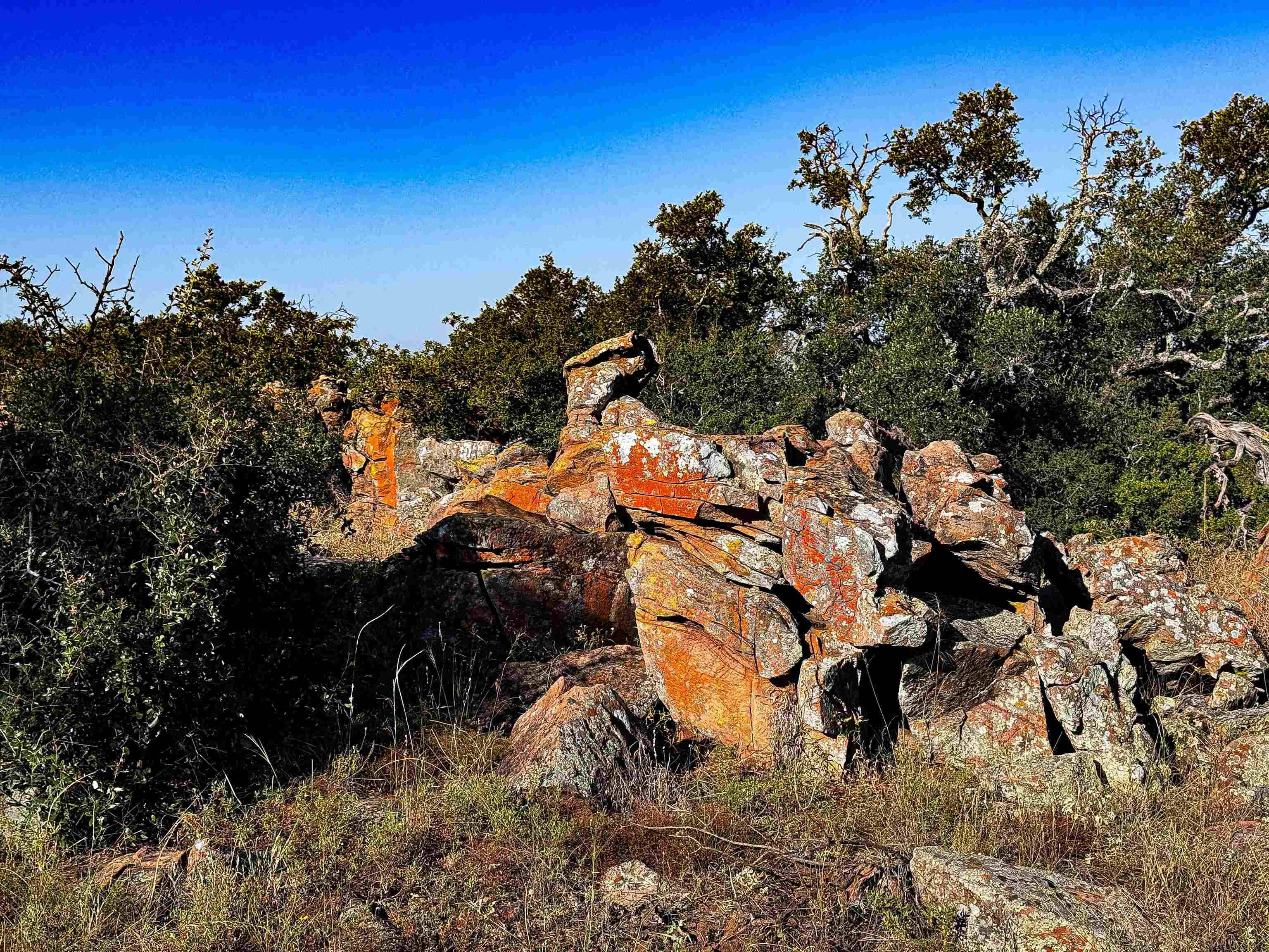 000 W Hwy 29, Llano, TX 78643