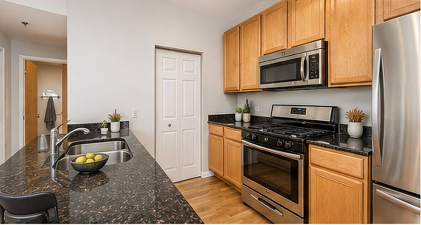 400 W Ontario ST #1508, Chicago, IL 60654
