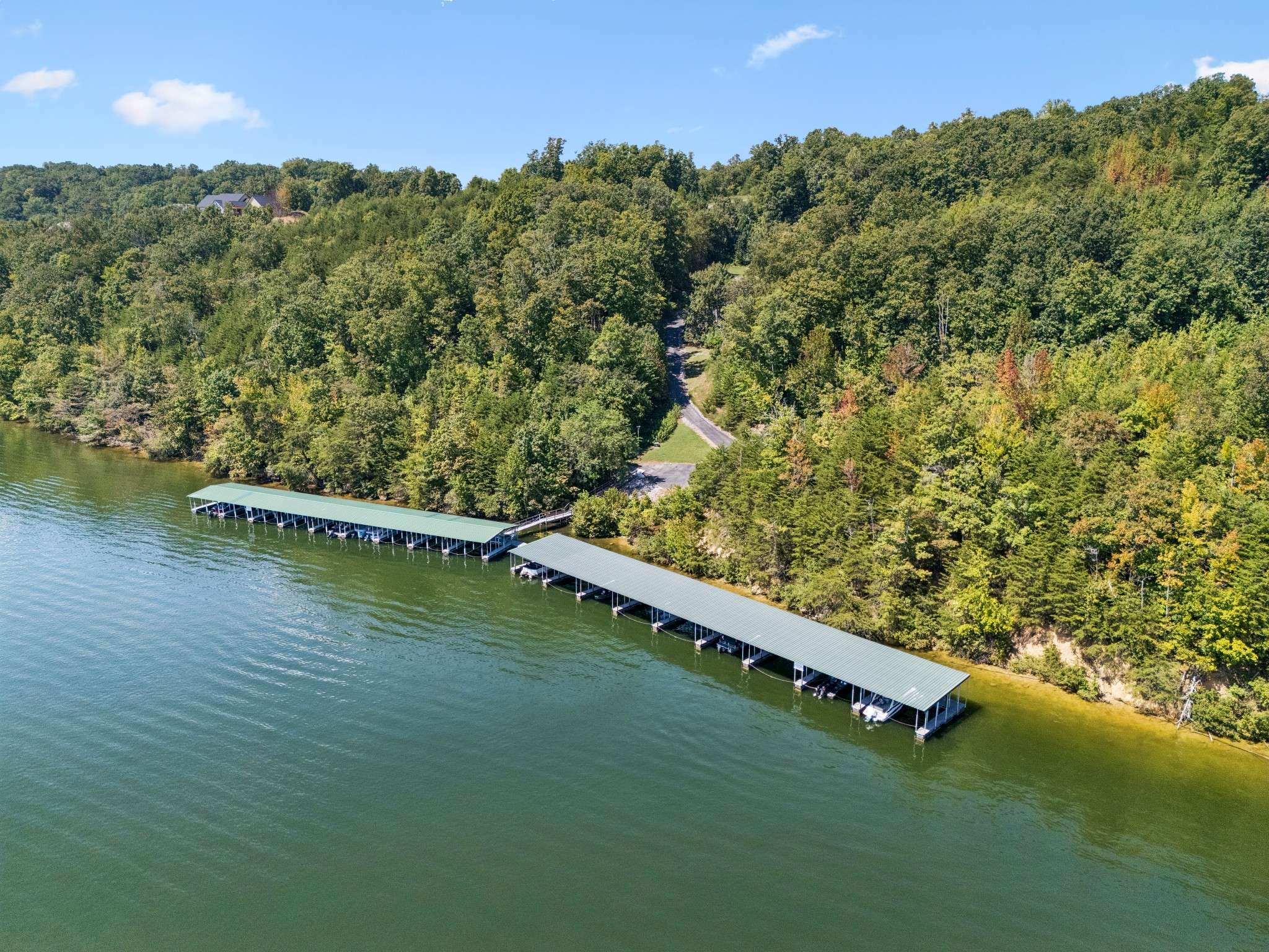 370 River Run Trl, Spring City, TN 37381