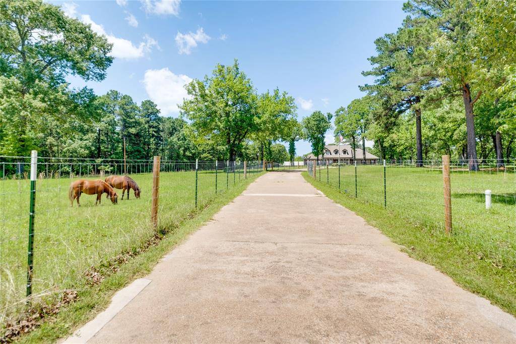 231 An County Road 2105, Palestine, TX 75801