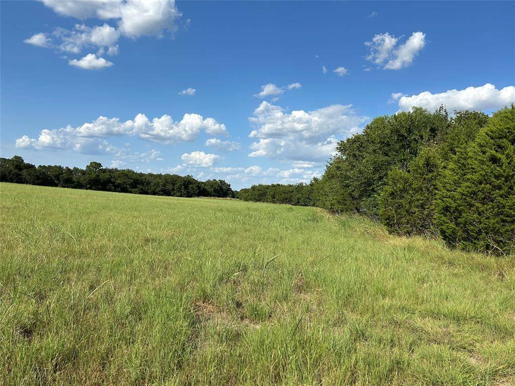 TBD Fm 219, Clifton, TX 76634