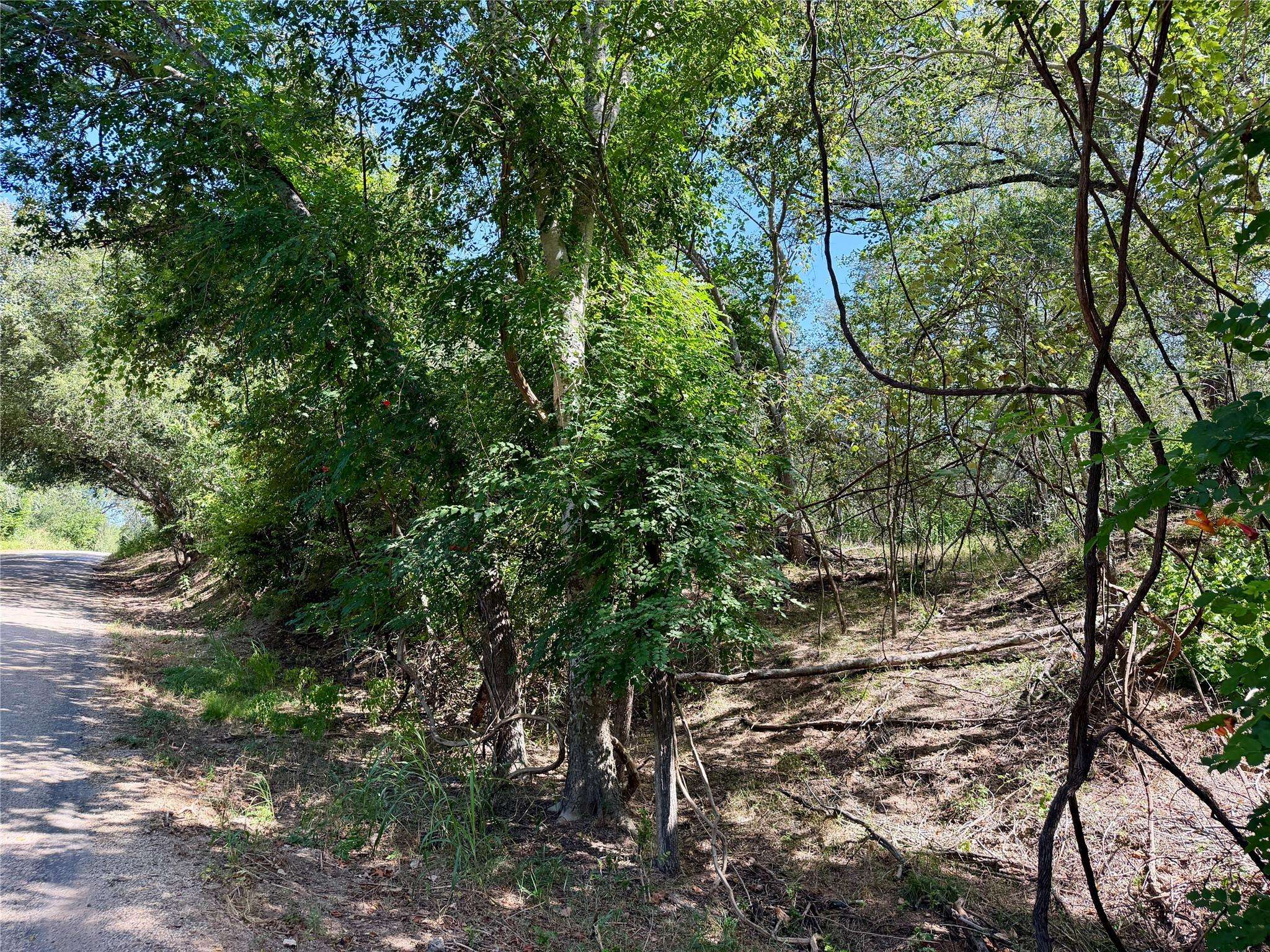 342 Riverside DR, Bastrop, TX 78602