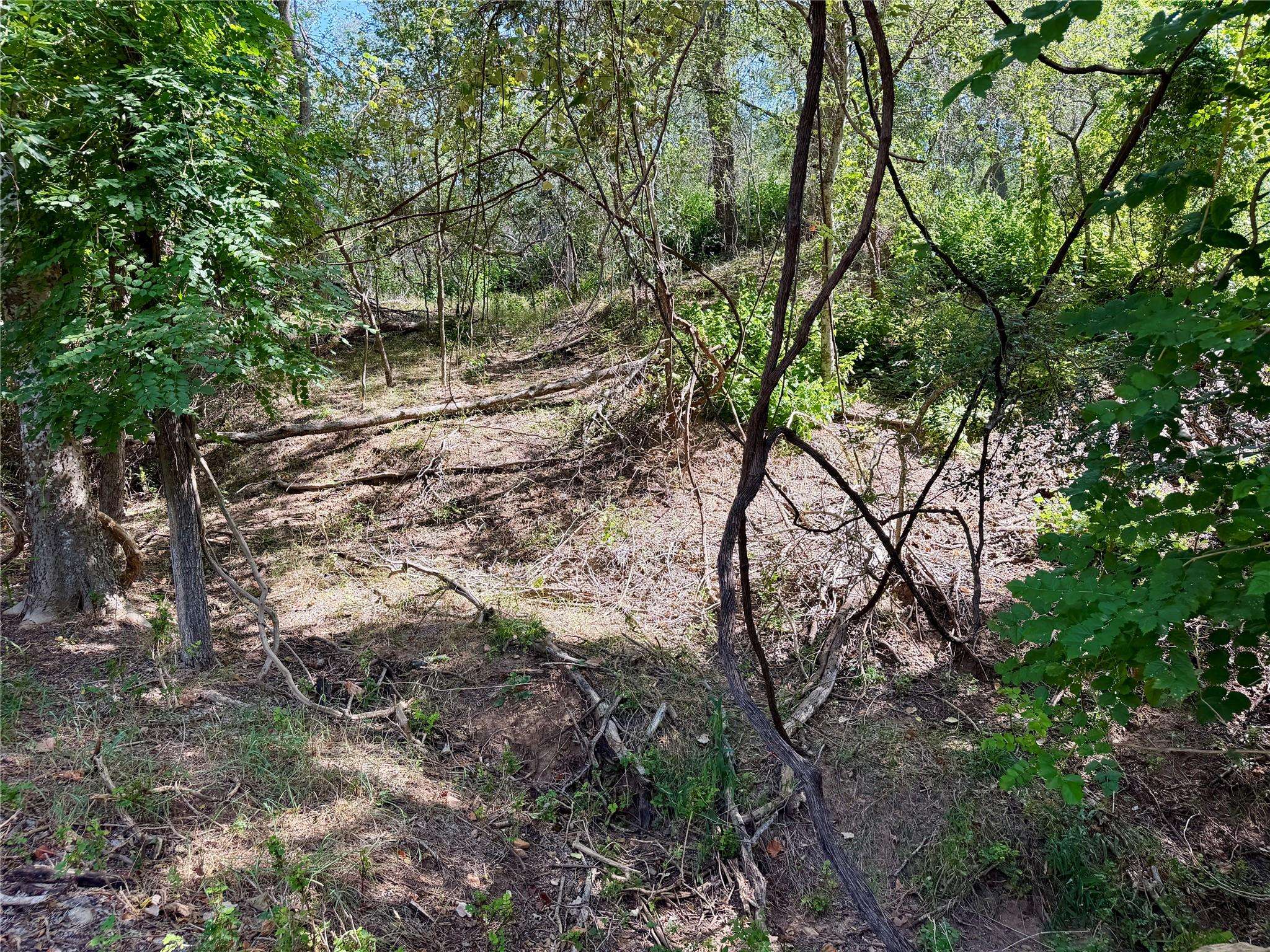 342 Riverside DR, Bastrop, TX 78602