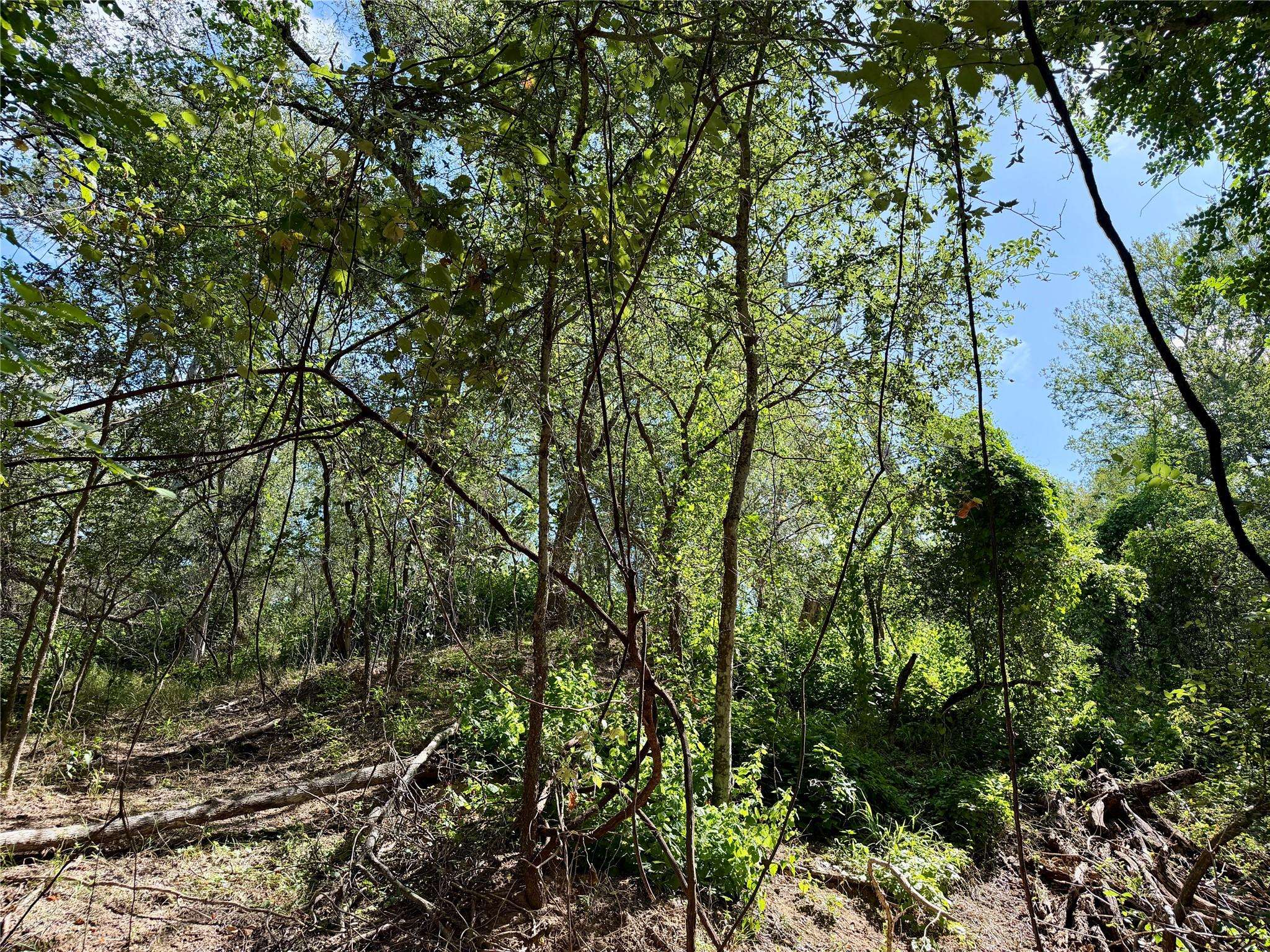 342 Riverside DR, Bastrop, TX 78602