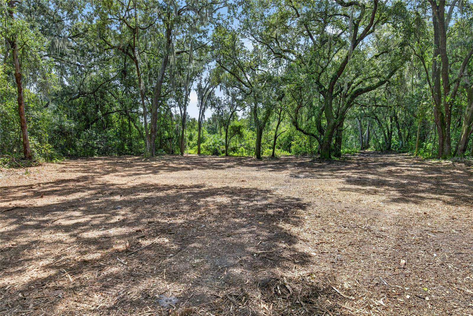 00 W KNIGHTS GRIFFIN RD, Plant City, FL 33565