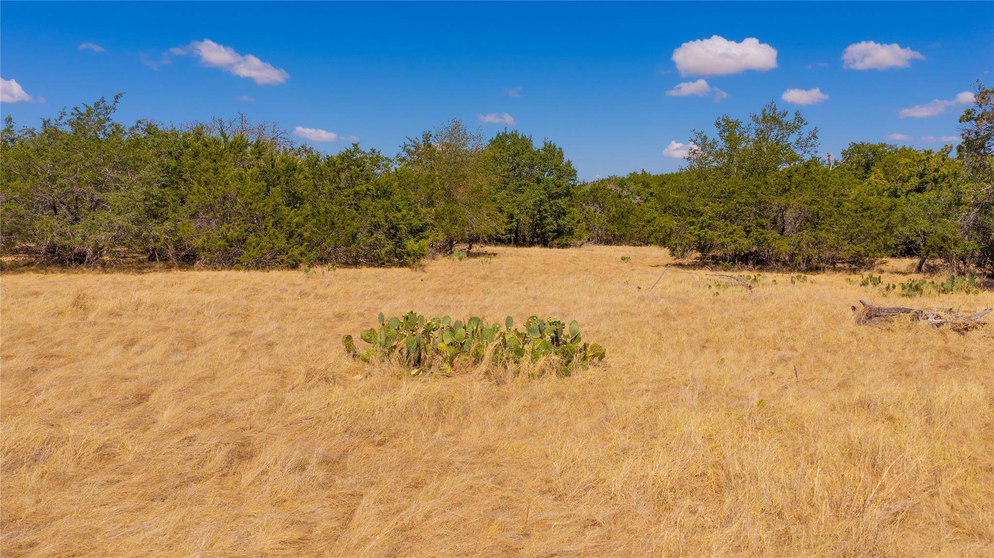 00 County Road 2644, Lometa, TX 76853