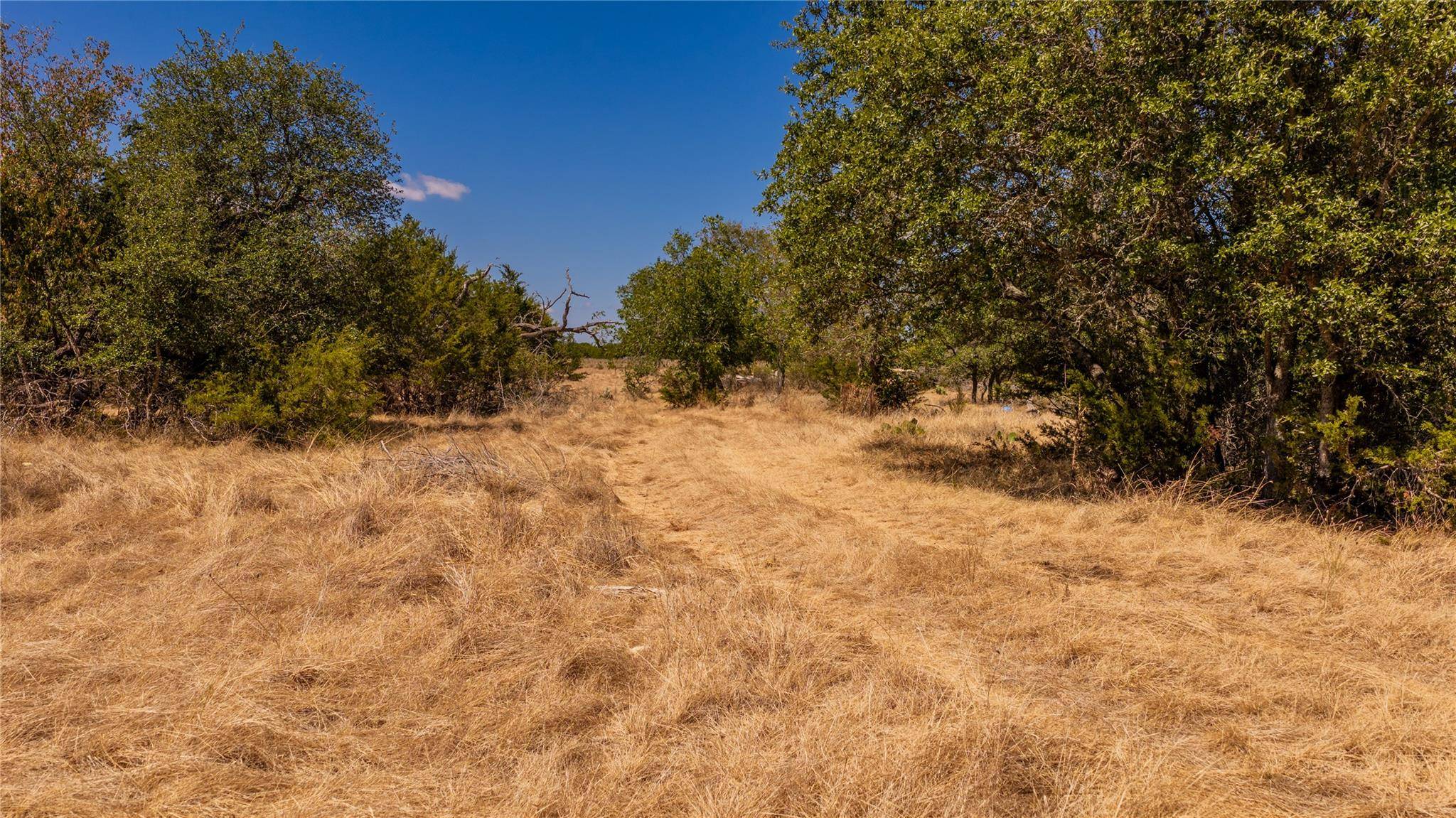 00 County Road 2644, Lometa, TX 76853