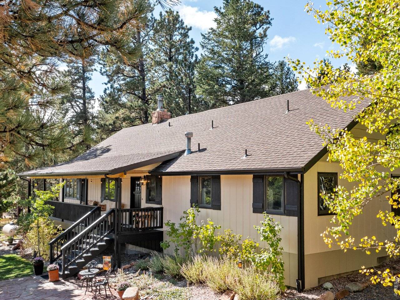 11982 Peak To Peak, Allenspark, CO 80510