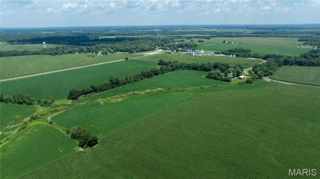 XXX Elevator Road, Walshville, IL 62091