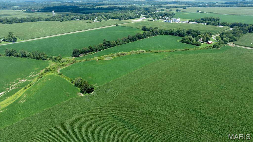 XXX Elevator Road, Walshville, IL 62091