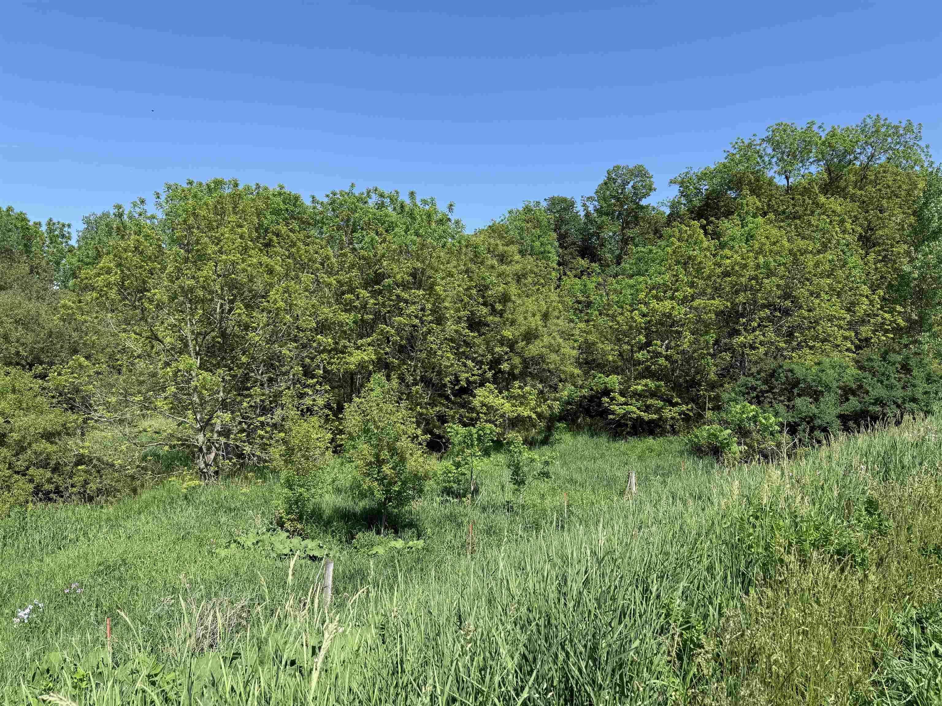 265th AVE, Spillville, IA 52168