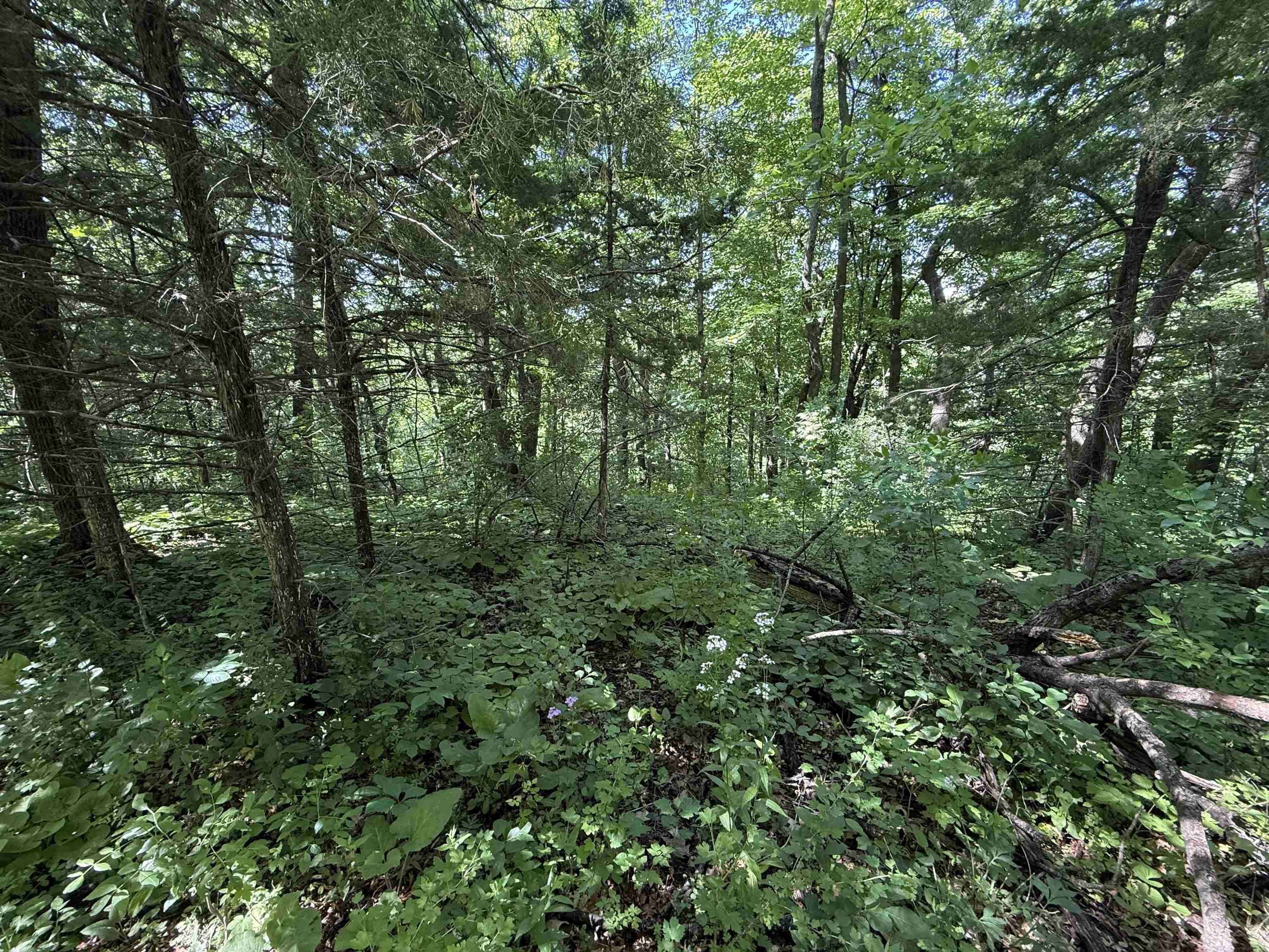 265th AVE, Spillville, IA 52168