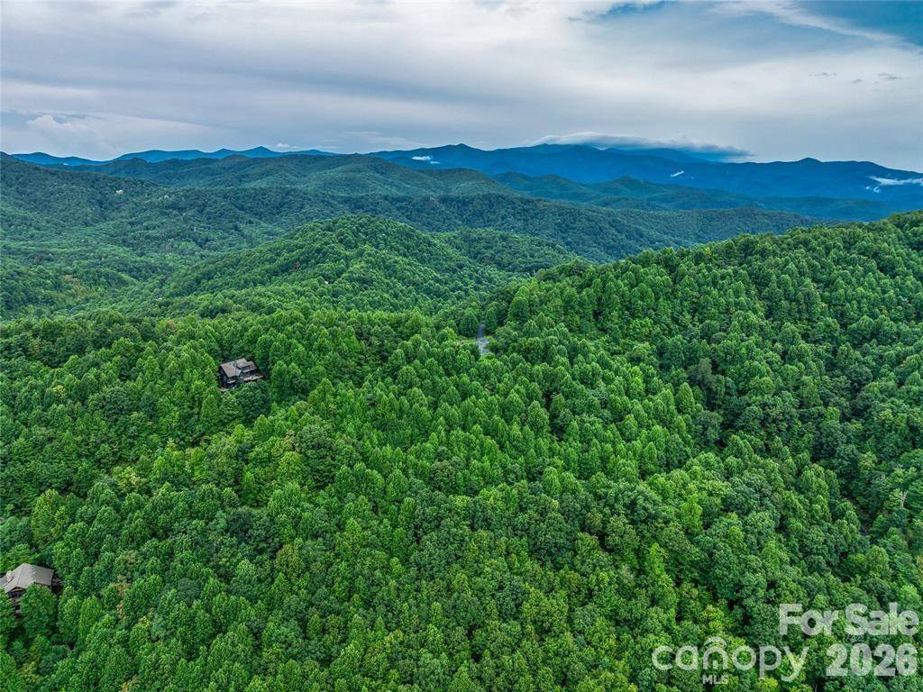 71 Kestrel LN #C-8, Black Mountain, NC 28711