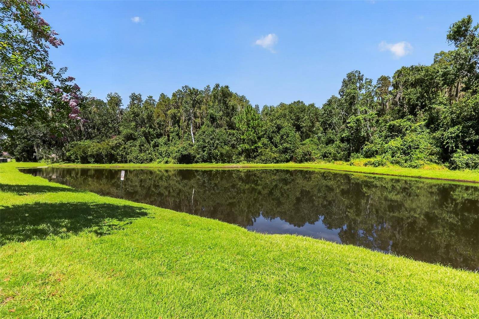 1677 LUDINGTON AVE, Wesley Chapel, FL 33543
