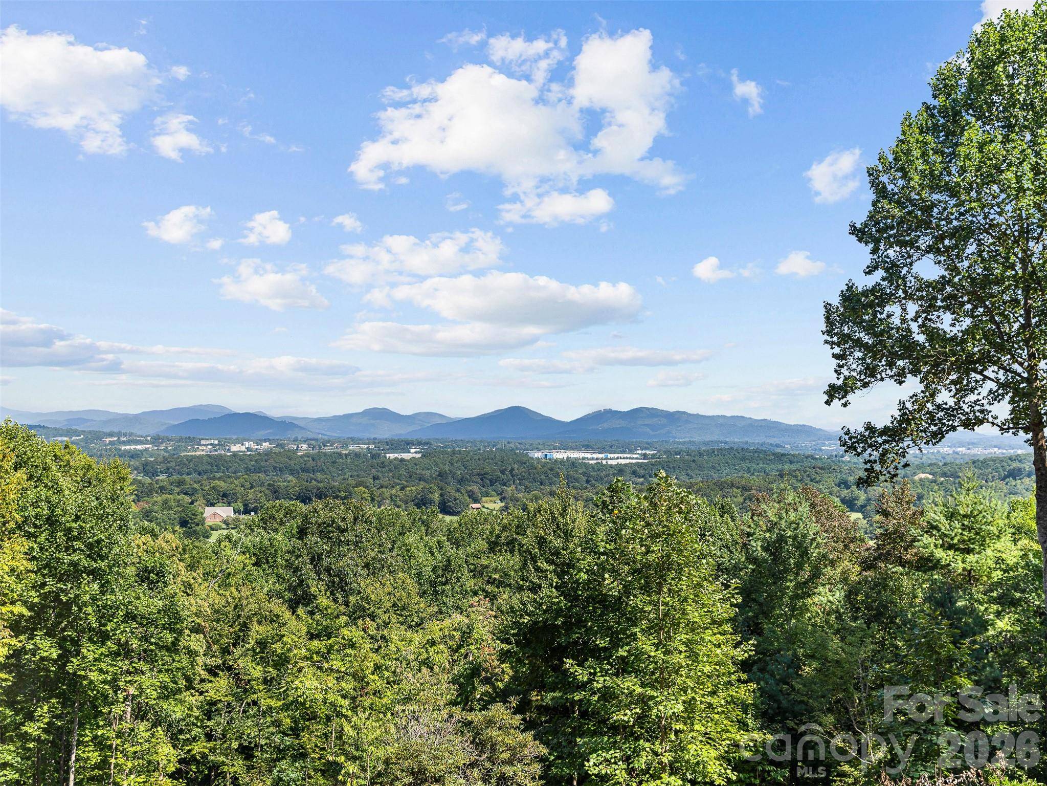 114 Split Rock TRL #8, Arden, NC 28704