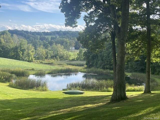 81-85 Fraleigh Hill RD, Millbrook, NY 12545