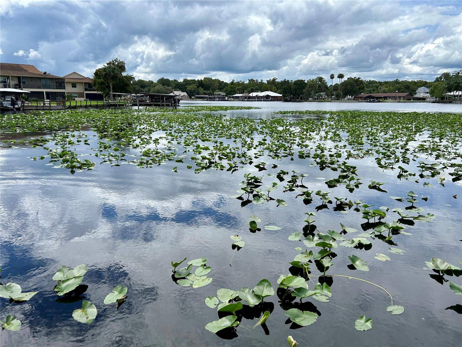1638 PARADISE LN, Astor, FL 32102