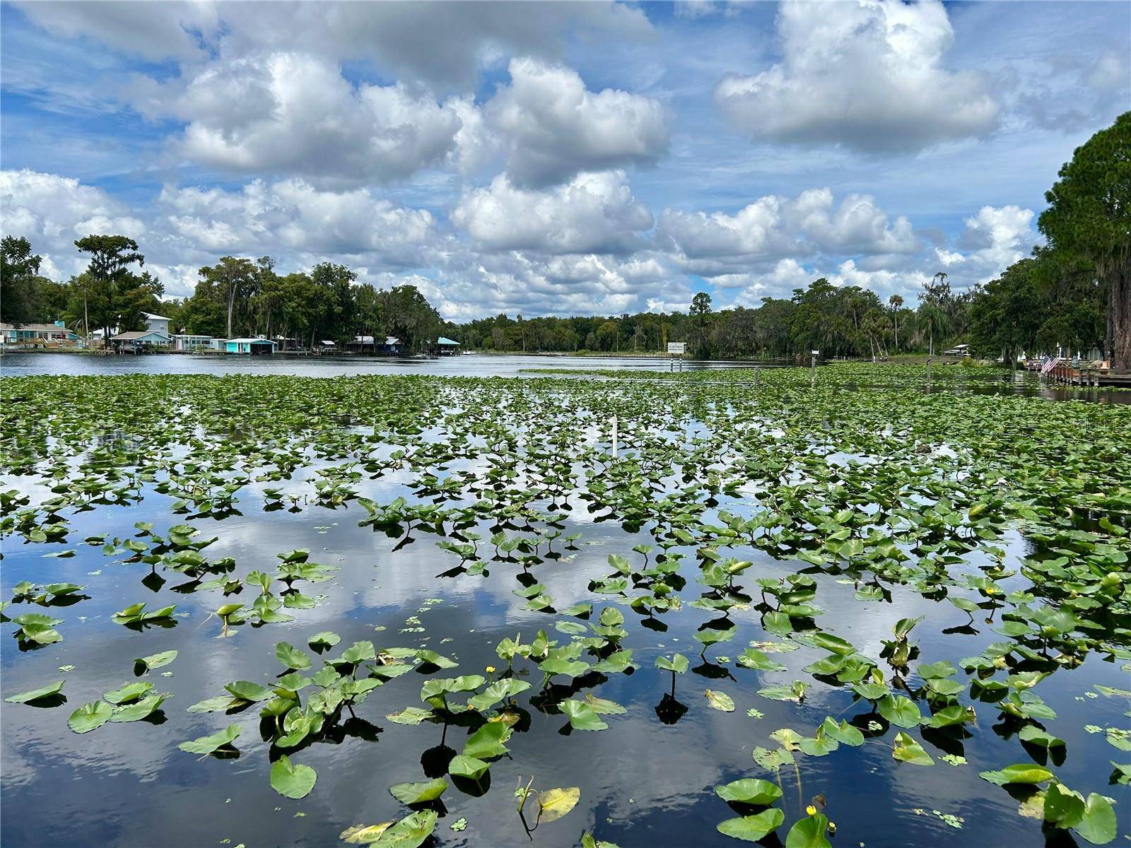 1638 PARADISE LN, Astor, FL 32102