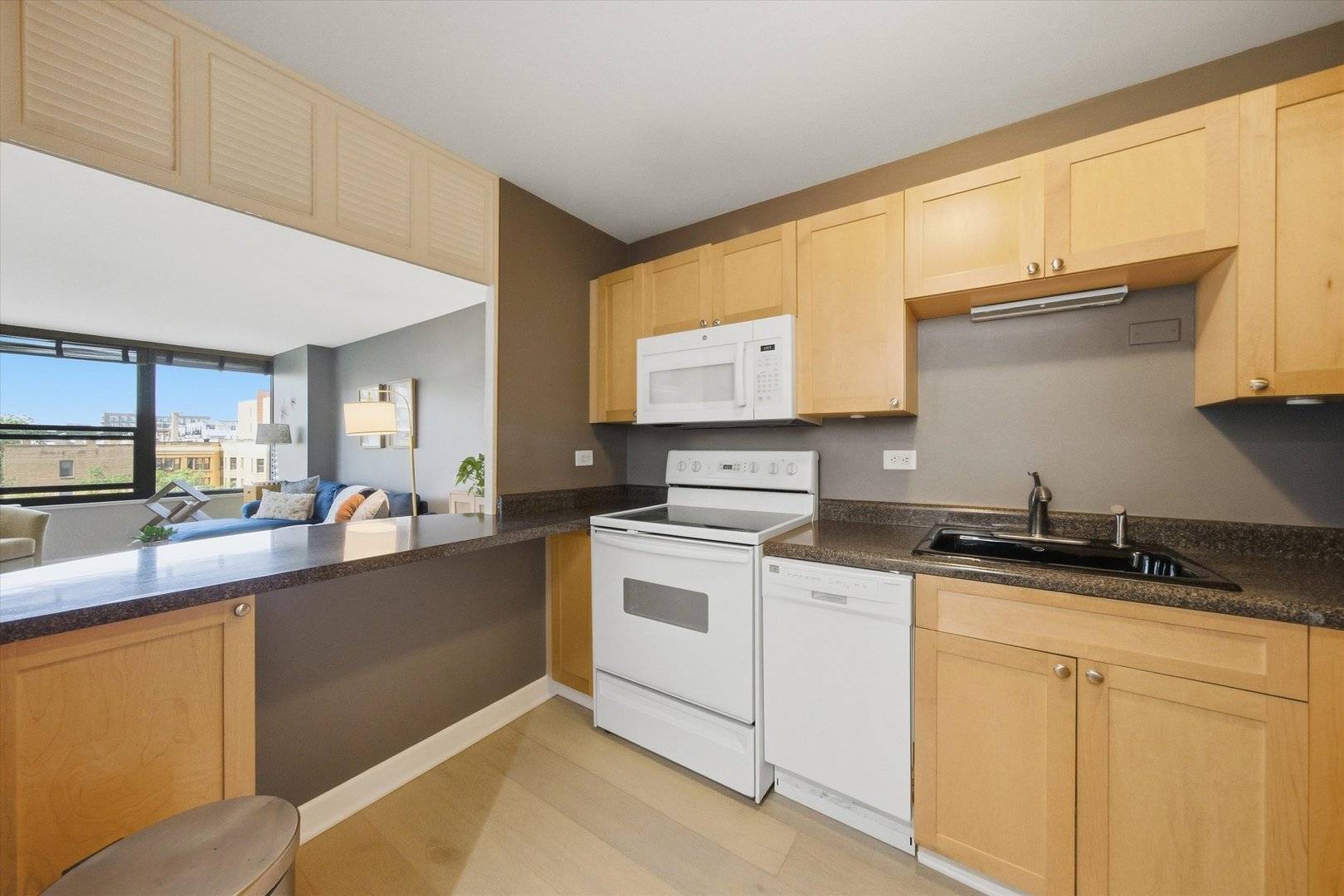 1560 N Sandburg TER #507J, Chicago, IL 60610