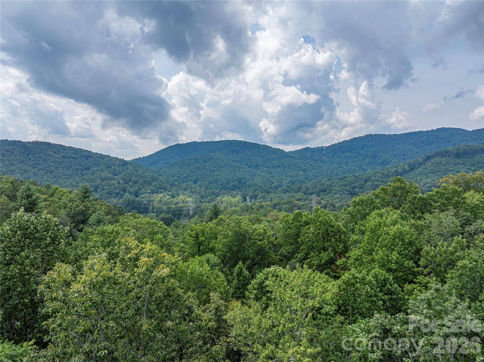 116 Ivy RD, Mills River, NC 28759