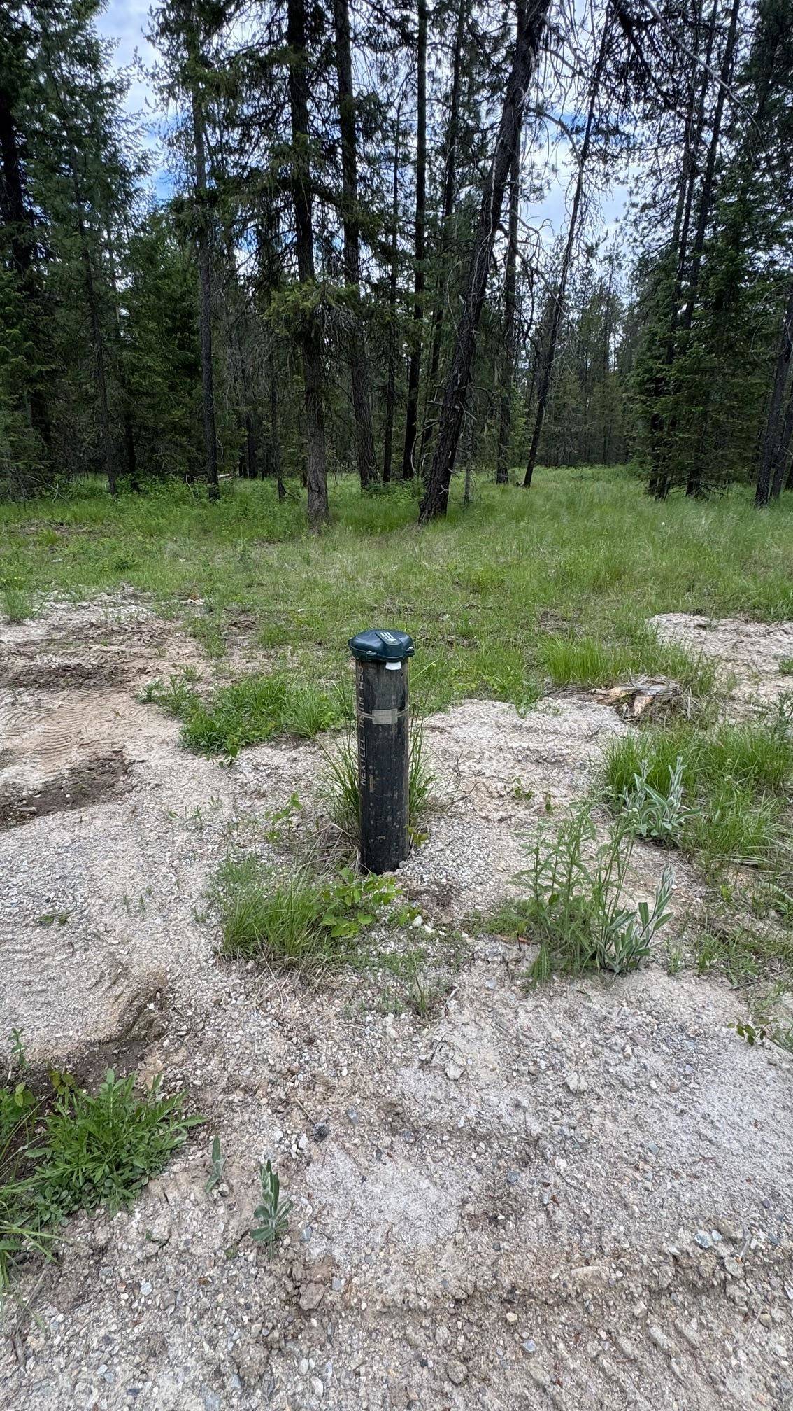 3804 Meadowlark WAY, Loon Lake, WA 99148