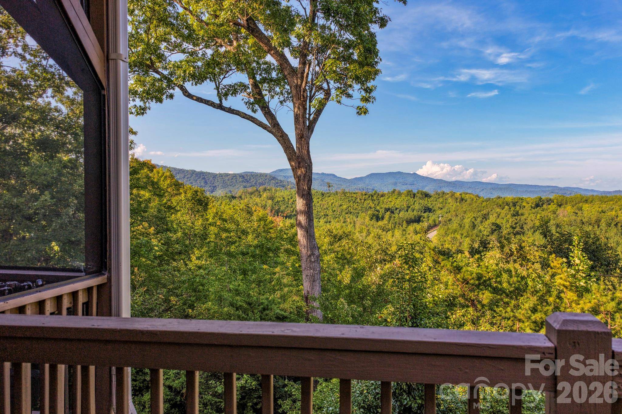 190 Tanglewood TRL, Lake Lure, NC 28746