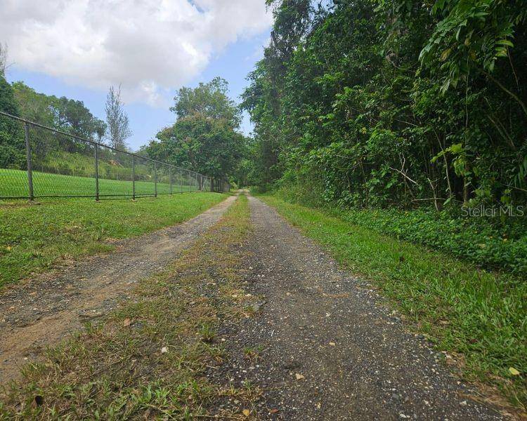 BO PUGNADO ADENTRO SOLAR CARRETERA 646, Vega Baja, PR 00693