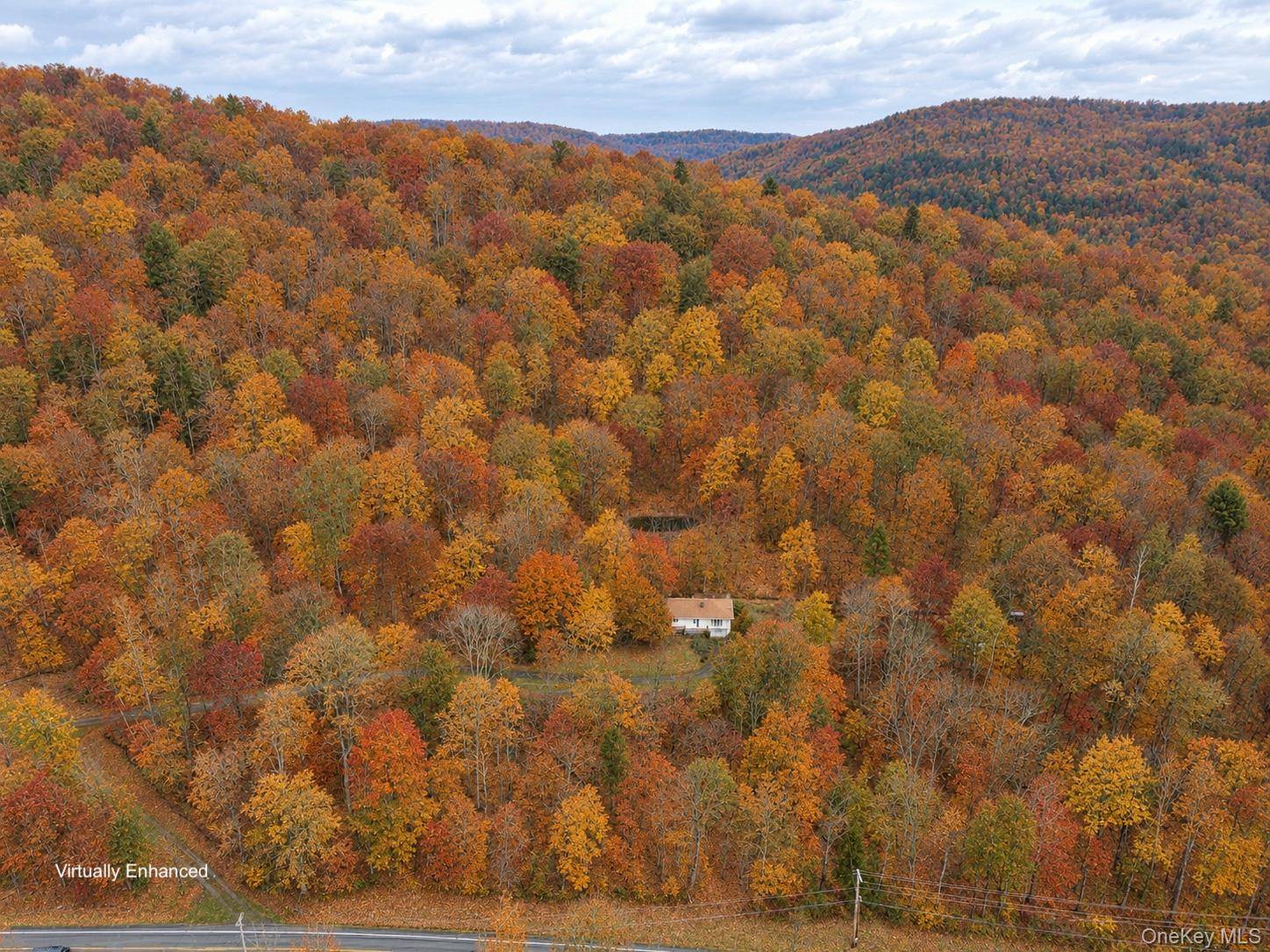 2220 Old Route 17, Roscoe, NY 12776