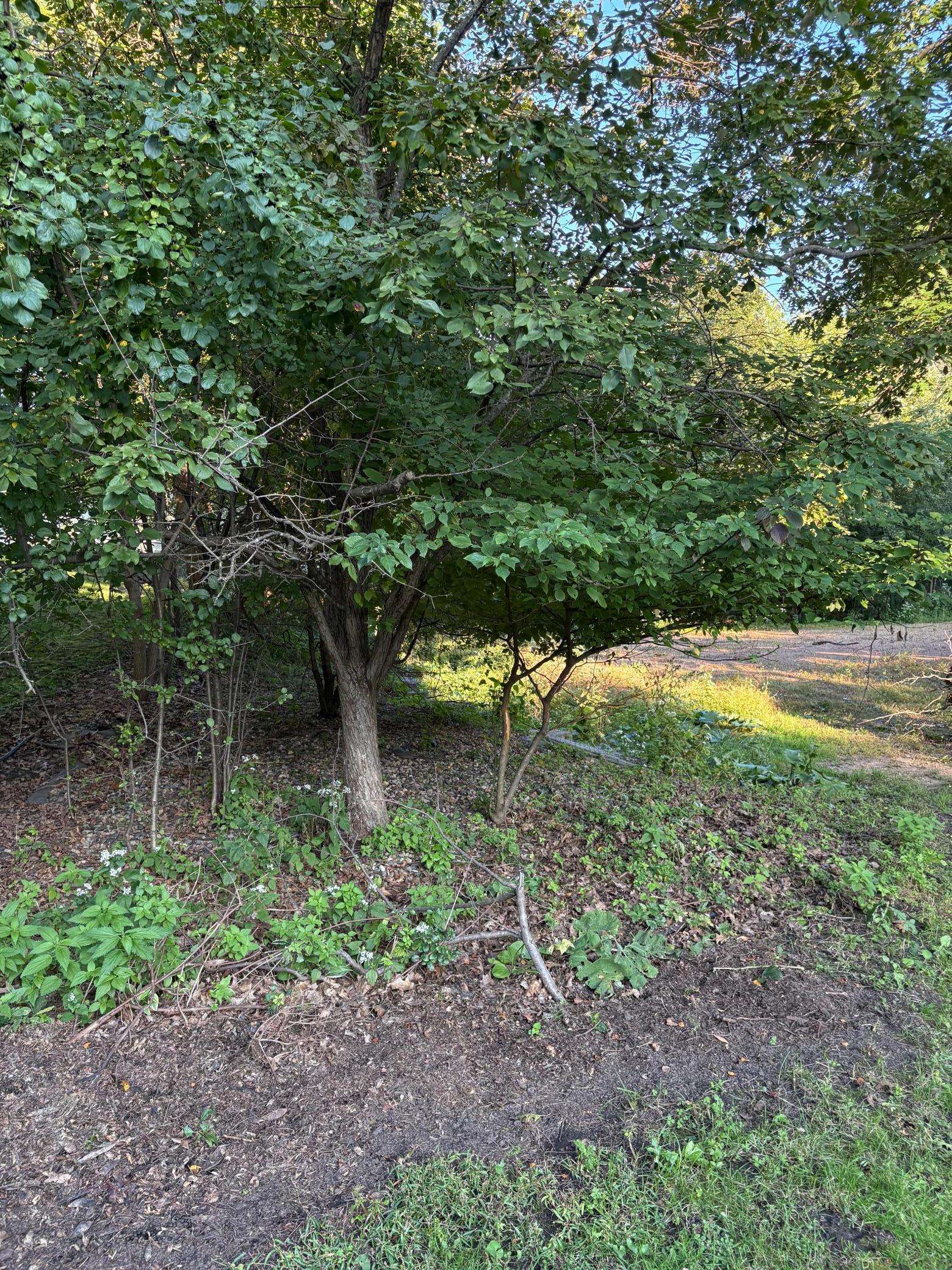 165xx Hidden Valley RD, Minnetonka, MN 55345