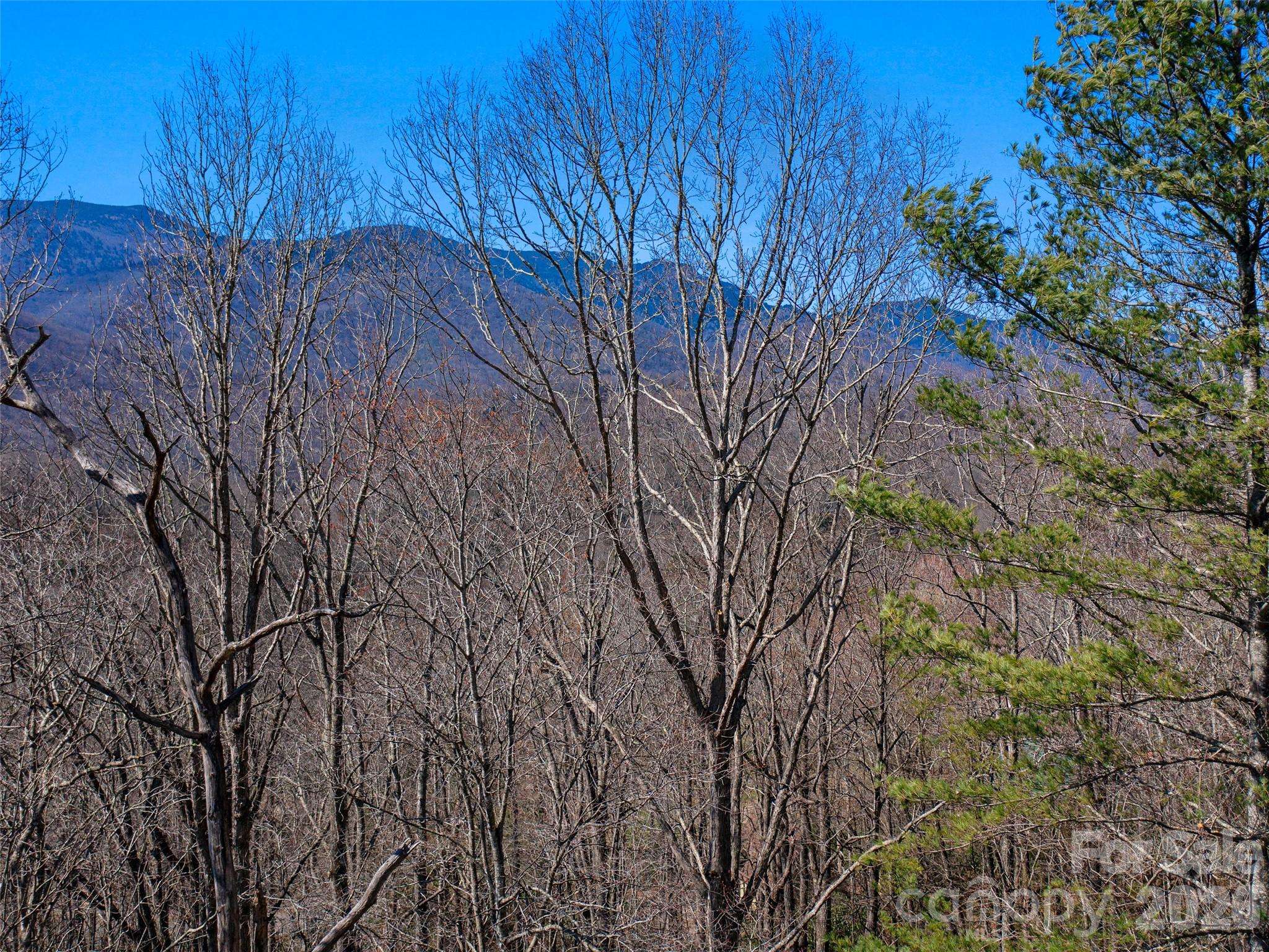 000 Big Ridge RD #62 & 63, Burnsville, NC 28714
