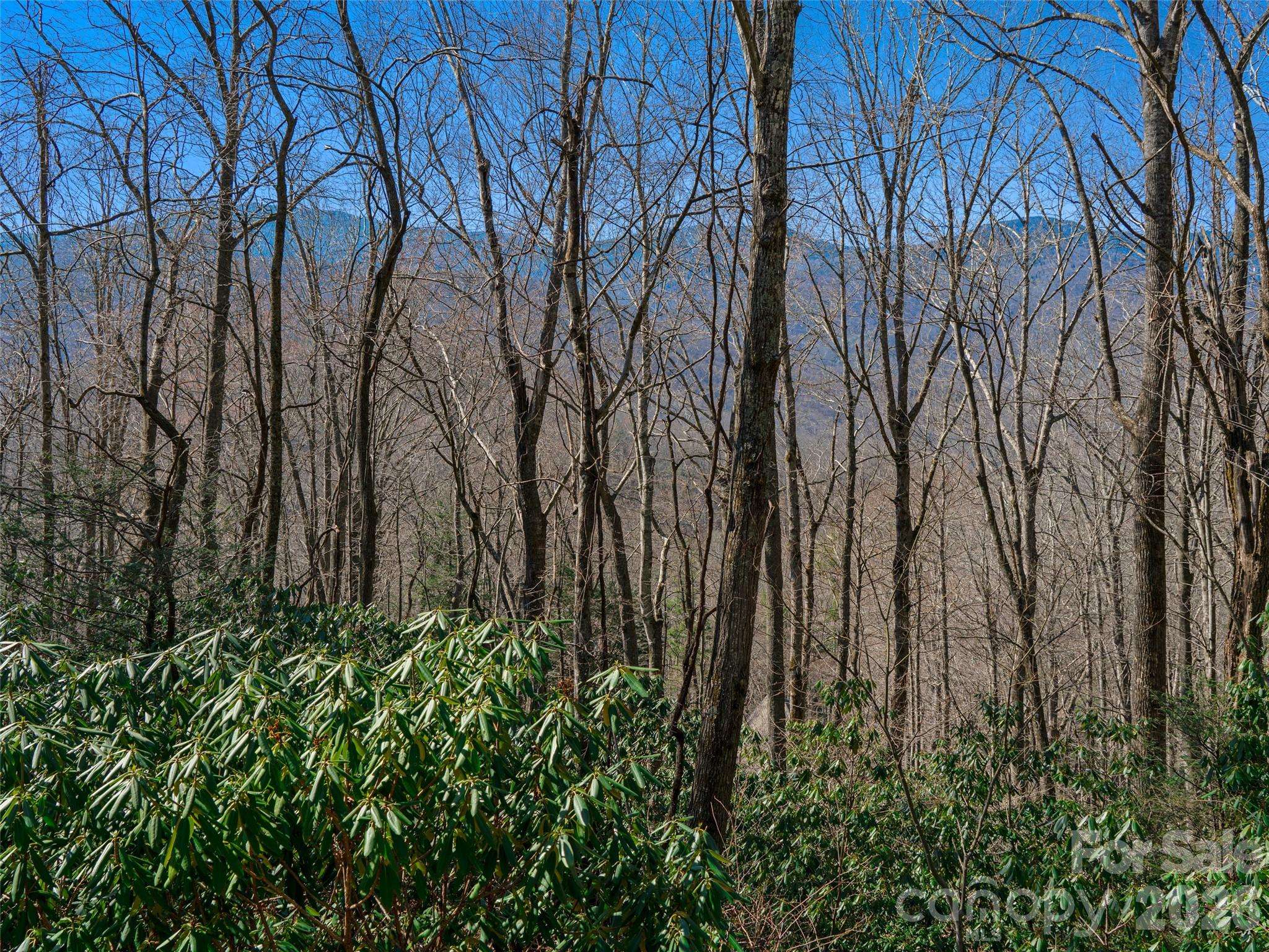 000 Big Ridge RD #62 & 63, Burnsville, NC 28714
