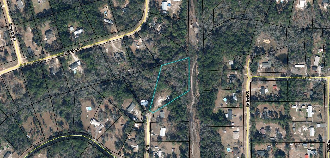 18 IVY CT, Middleburg, FL 32068