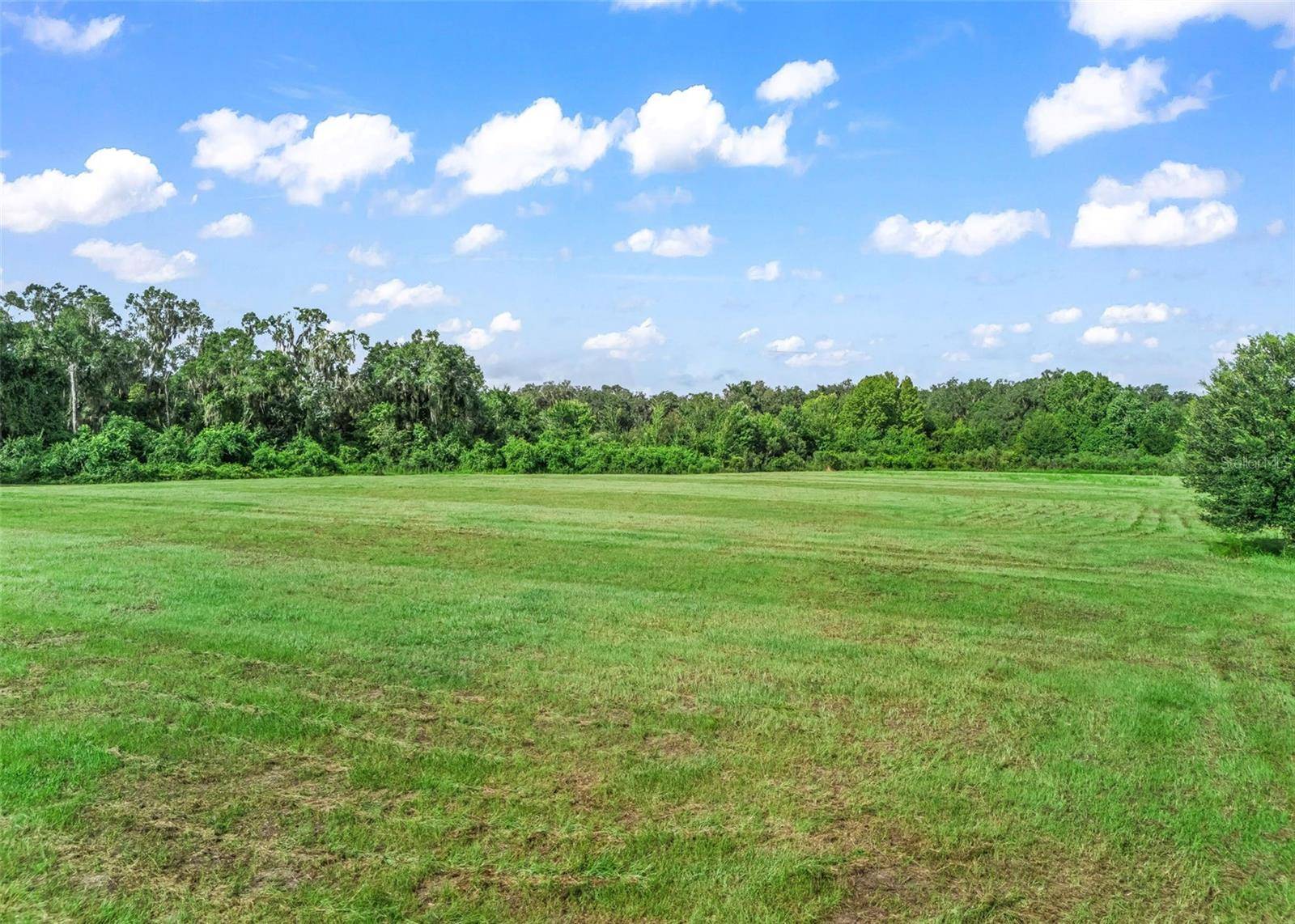 2239 SE 112TH AVE, Webster, FL 33597
