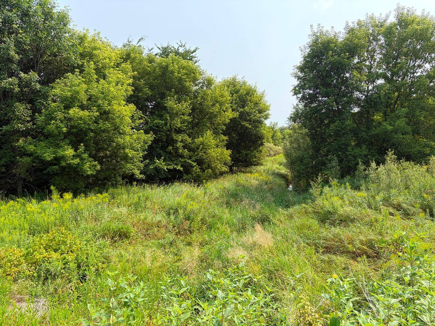 TBD Lands along 160th Ave & 315th St, Glenwood City, WI 54013