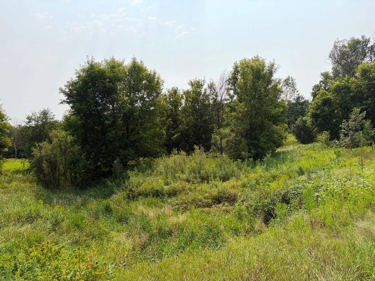 TBD Lands along 160th Ave & 315th St, Glenwood City, WI 54013