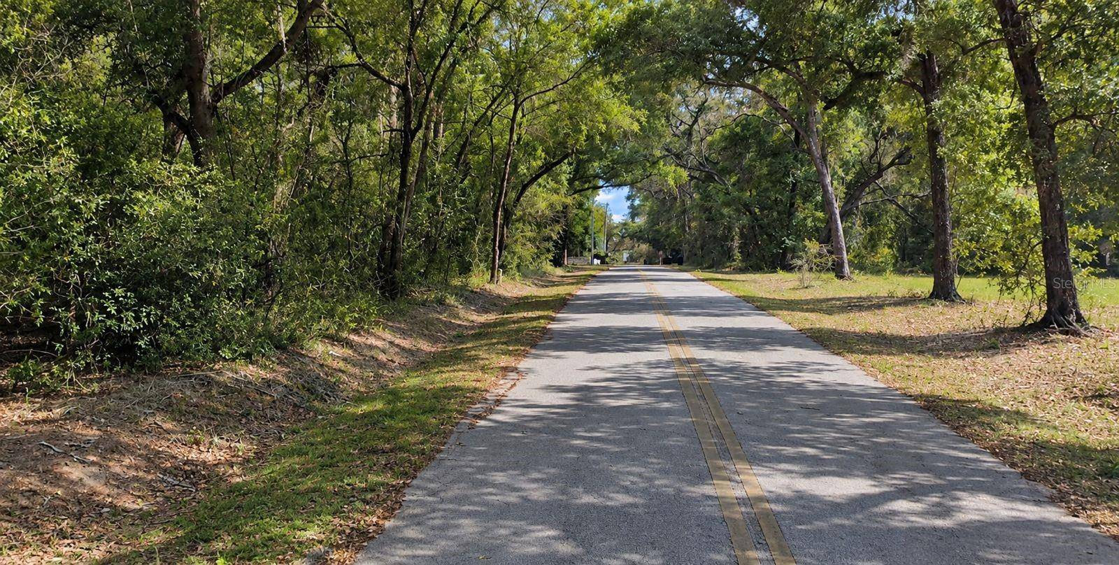 SE 171ST CT, Ocklawaha, FL 32179