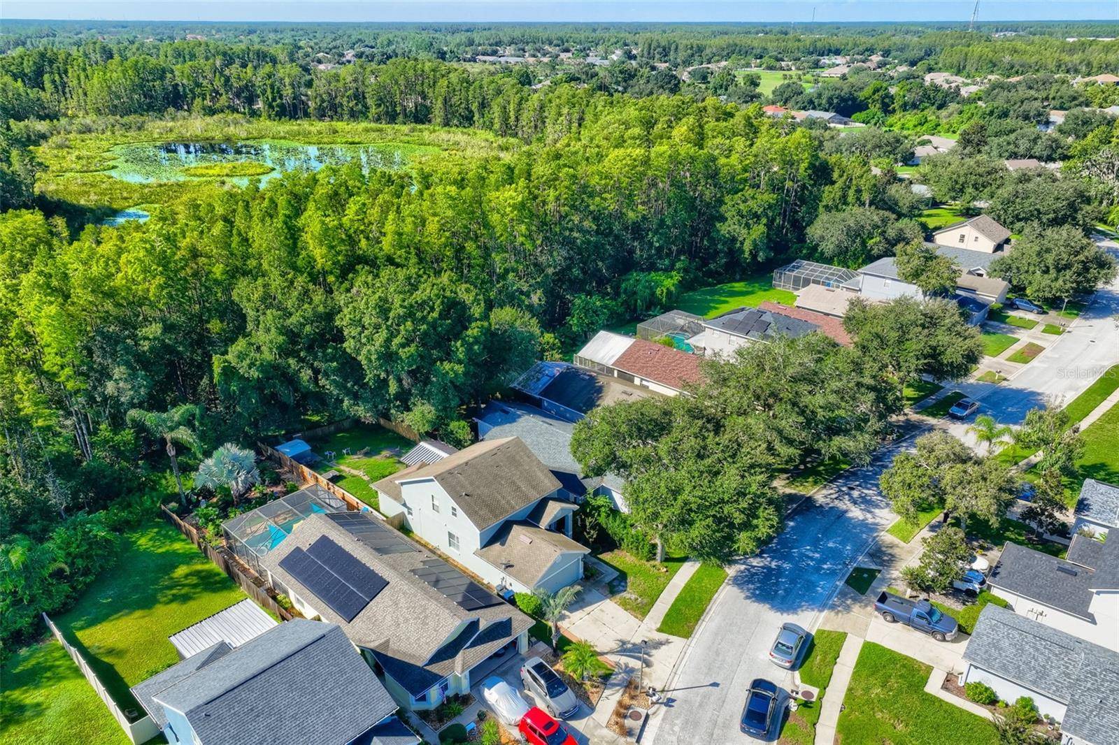 7902 CITRUS BLOSSOM DR, Land O Lakes, FL 34637