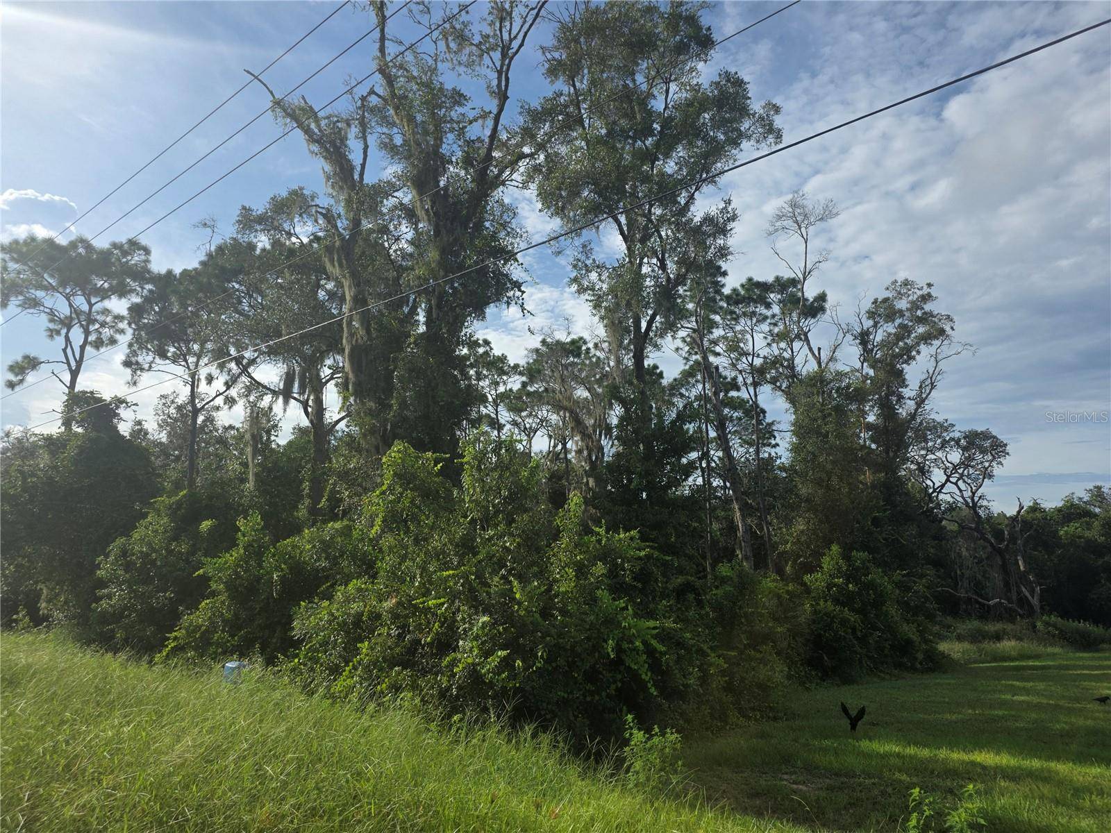 158-A CORTEZ BLVD., Dade City, FL 33523