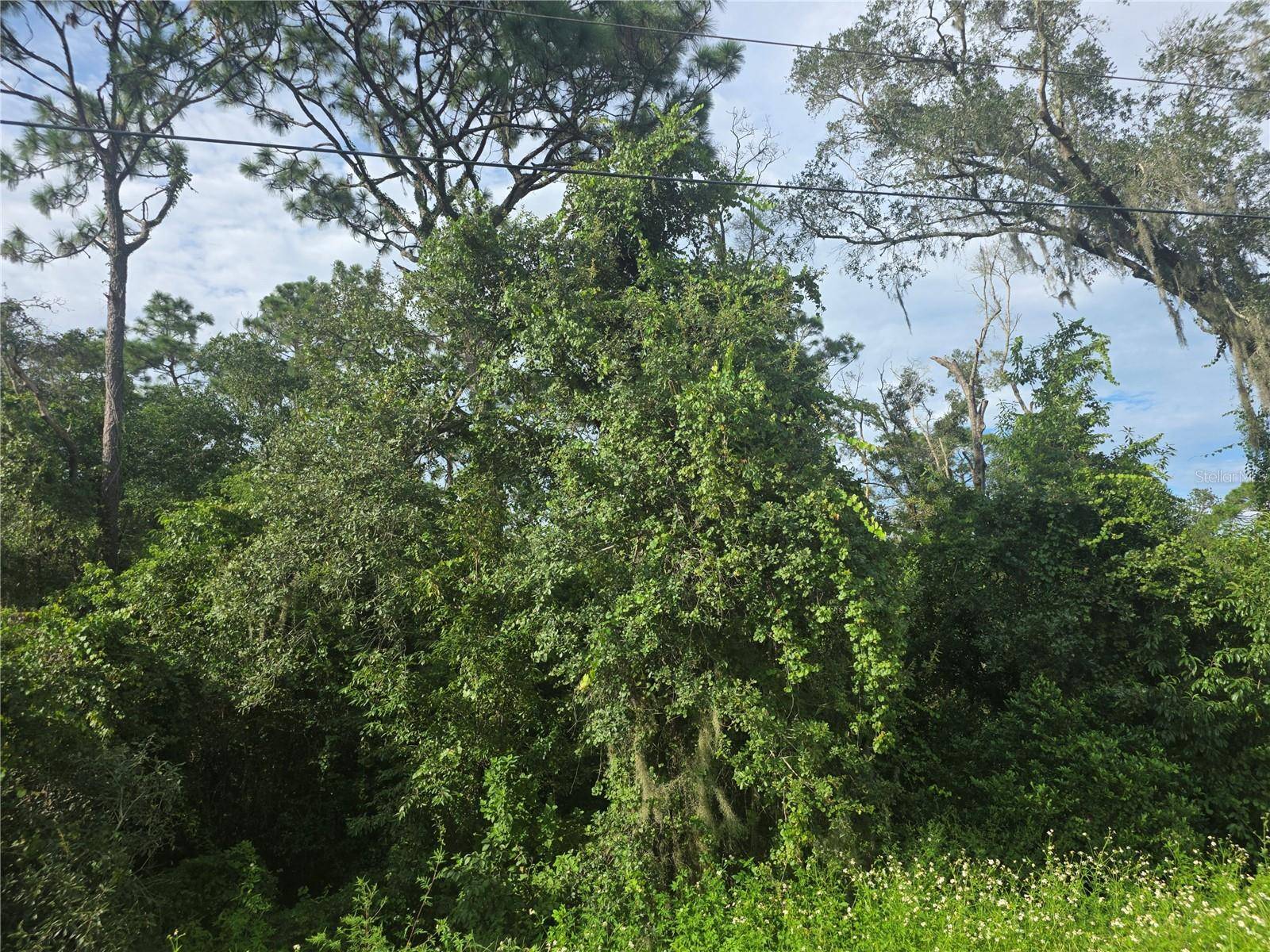 158-A CORTEZ BLVD., Dade City, FL 33523