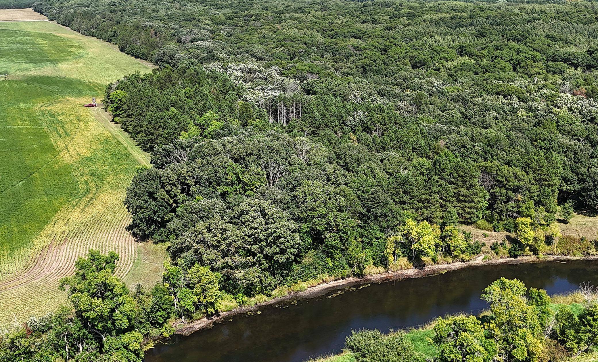 TBD 400th ST, Browerville, MN 56438