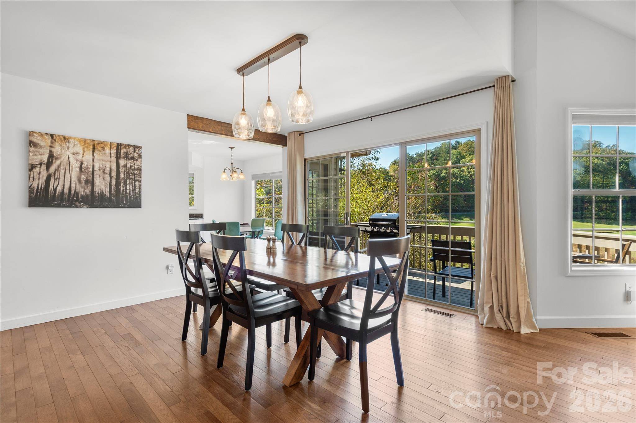 108 June CT, Lake Lure, NC 28746