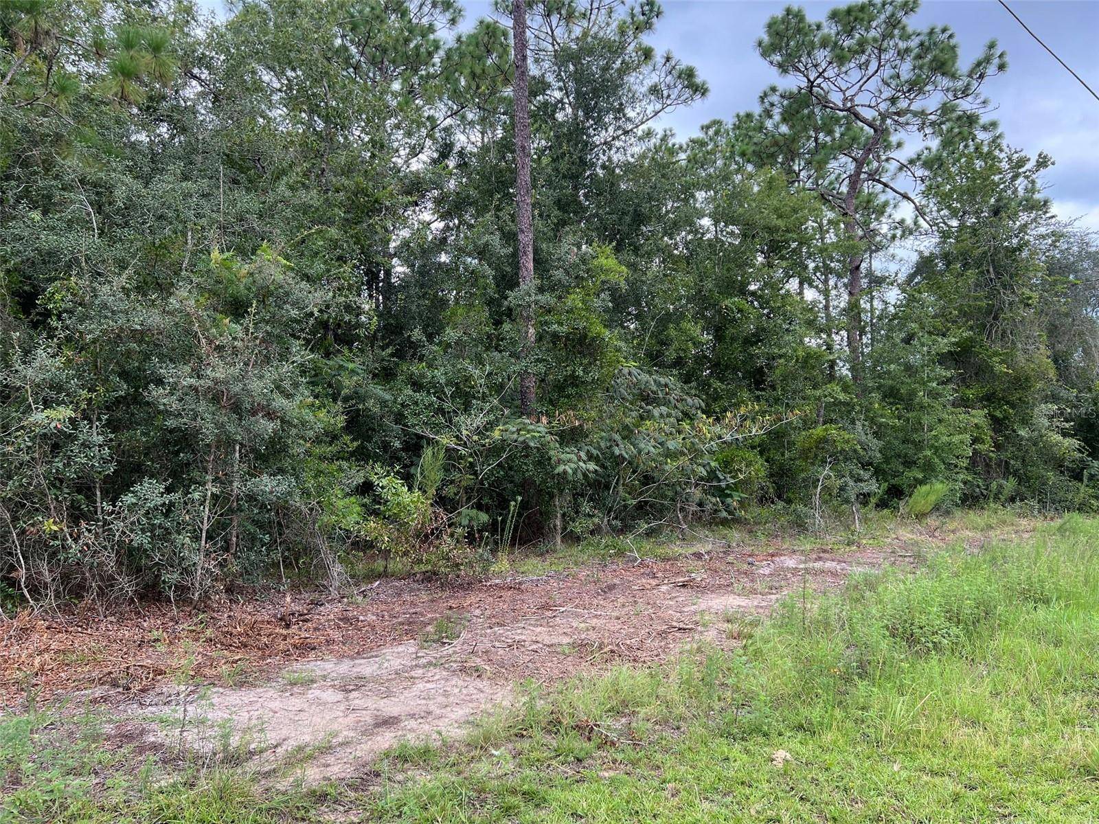 TBD SW 167TH AVE, Ocala, FL 34481